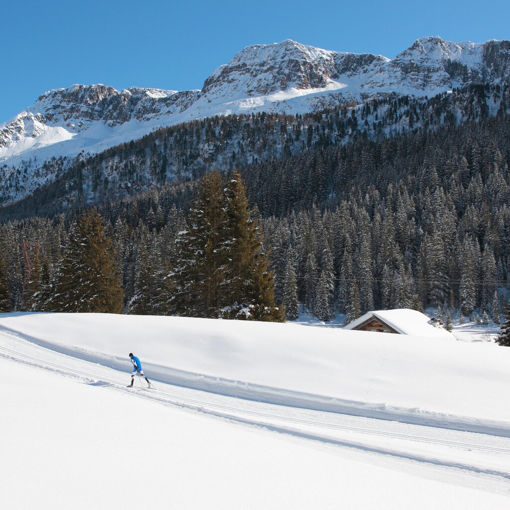 Alochet Nordic Centre