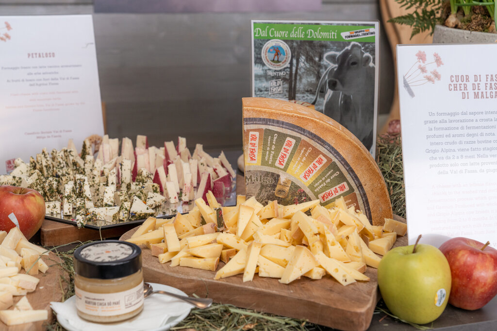 ApTValdiFassa MATTIA RIZZI WC2024  MRP1139 FullRes